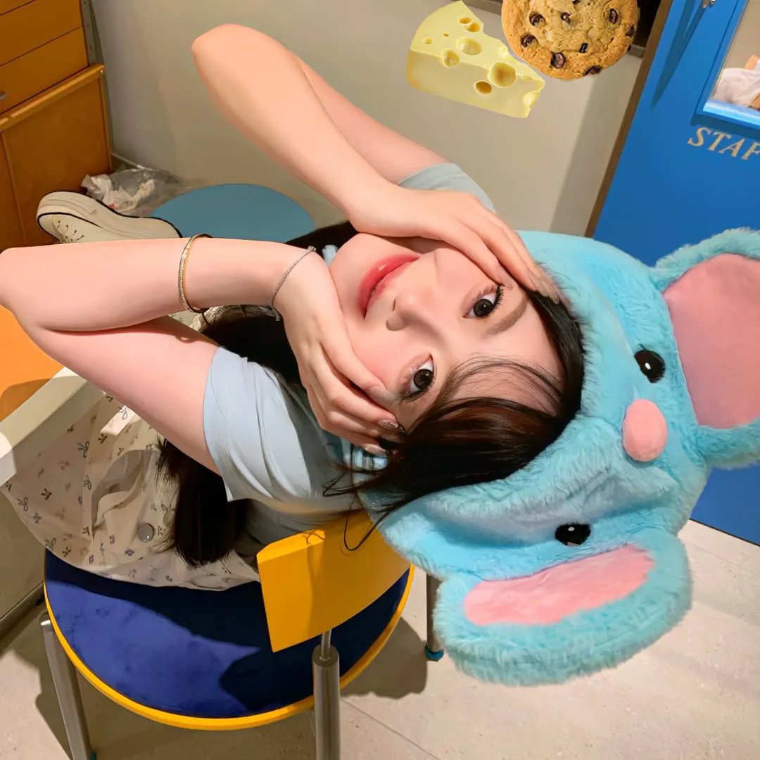 占卜师们封面