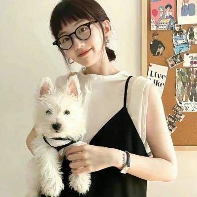 啪上云霄封面
