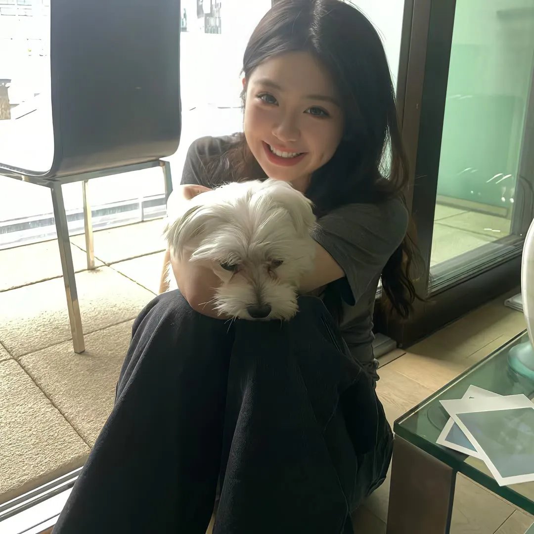巨星总动员焦点图
